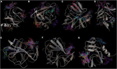 Molecular docking study of various Enterovirus—A71 3C protease proteins and their potential inhibitors